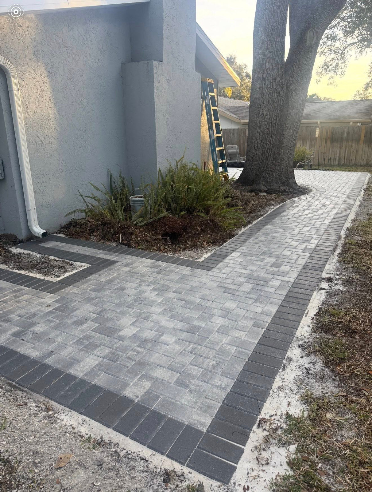 New curved paver walkway around mature oak tree
